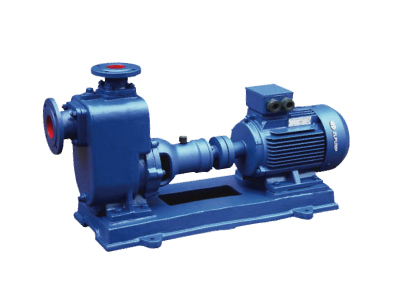 ZX���P��x��������